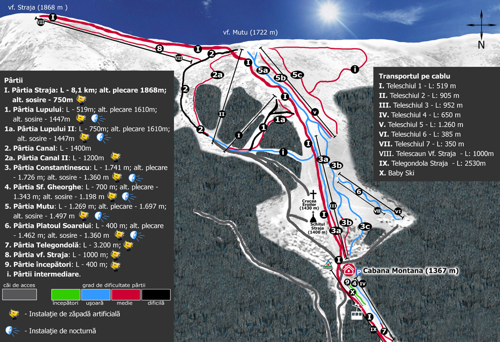 Sober Substantial mixture Vila Alpin Straja - oferta cazare - ski