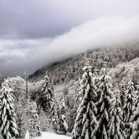 MG_44562